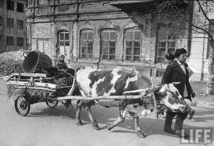 stalingrad-1947-16