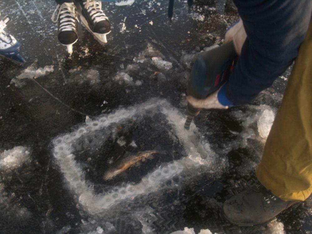 рыбка во льду