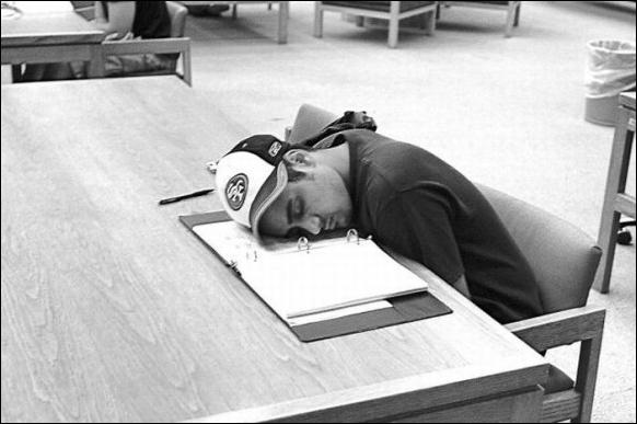 спящие в библиотеке