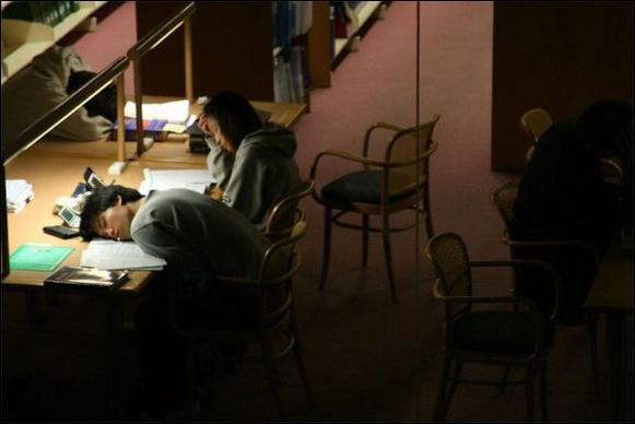 спящие в библиотеке