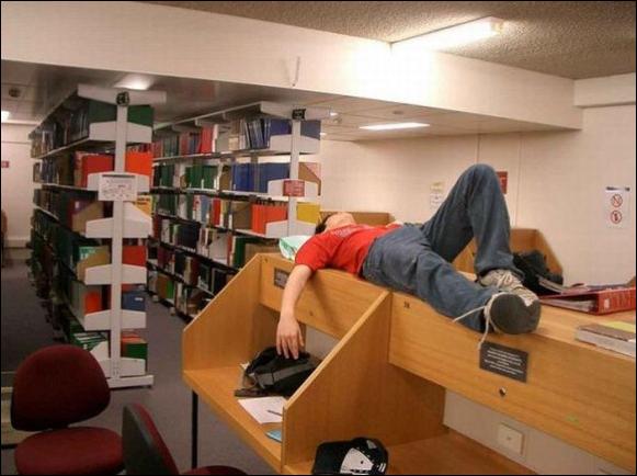 спящие в библиотеке