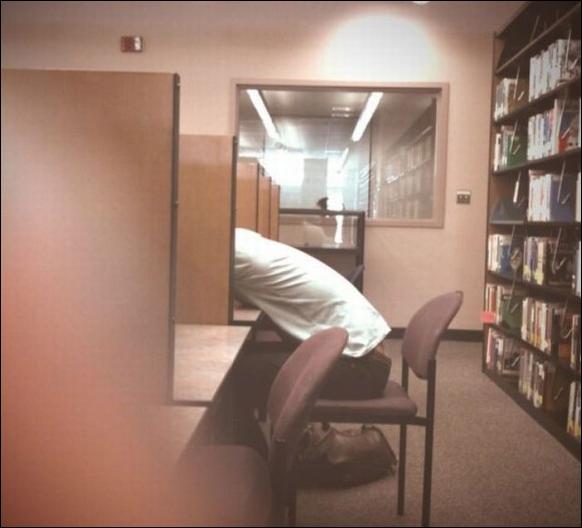 спящие в библиотеке