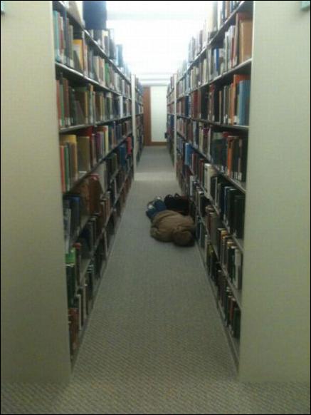 спящие в библиотеке