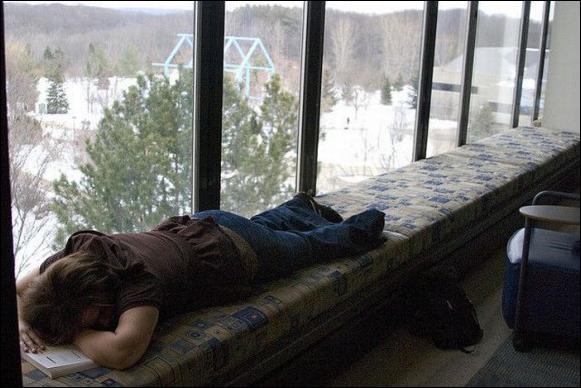 спящие в библиотеке