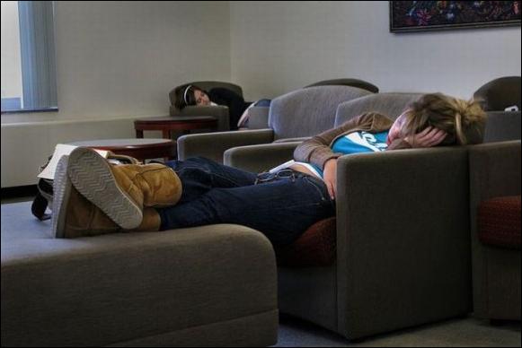 спящие в библиотеке