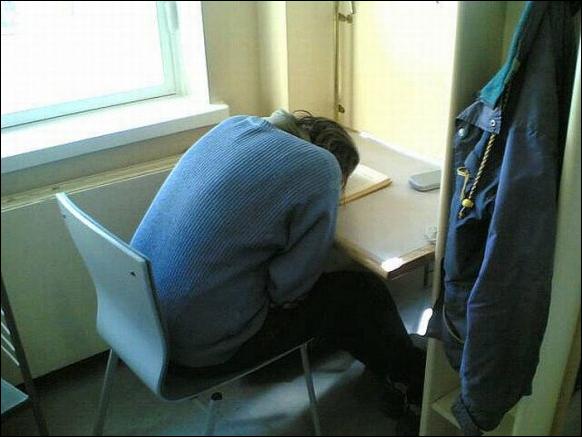 спящие в библиотеке