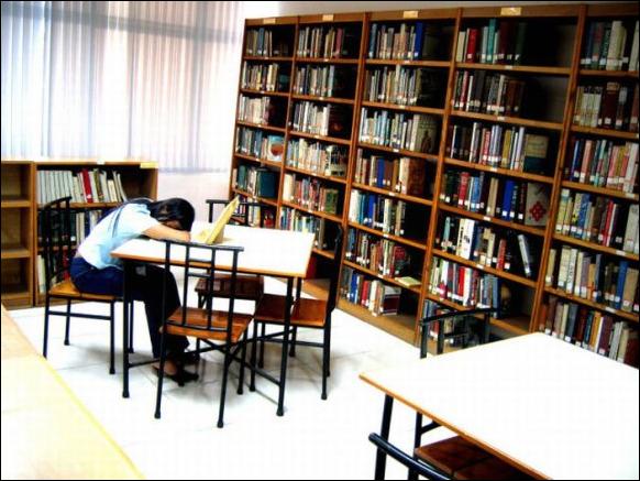 спящие в библиотеке