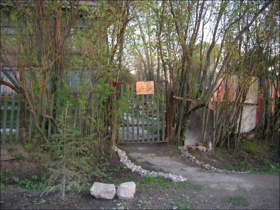 собака не злая