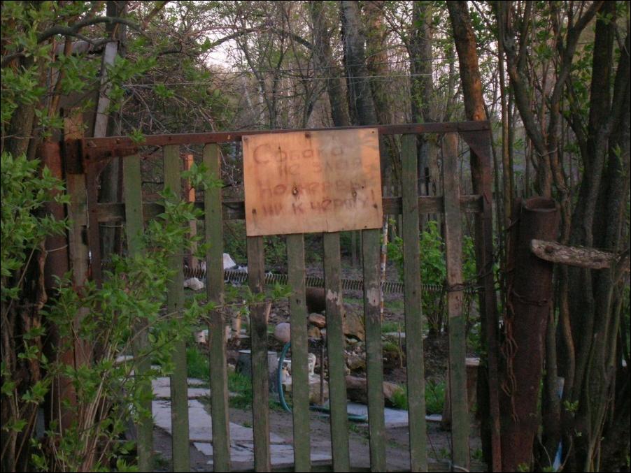 собака не злая