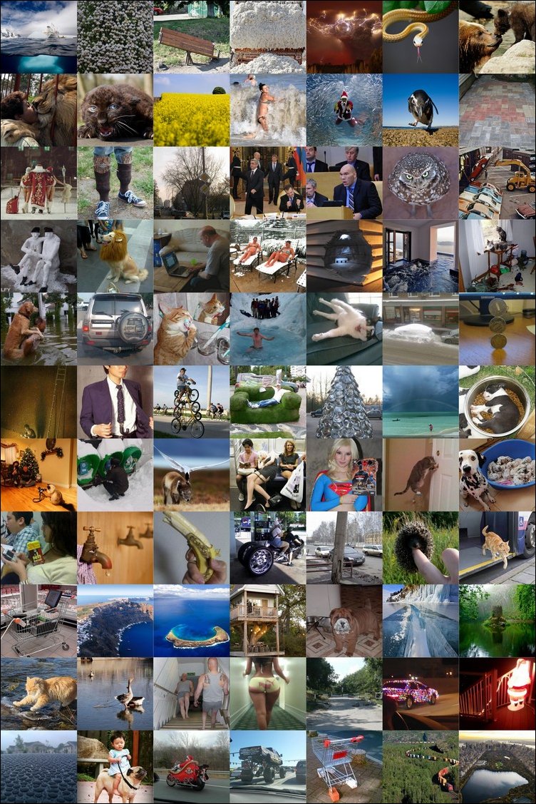 Подборка фотографий Подборка фотографий