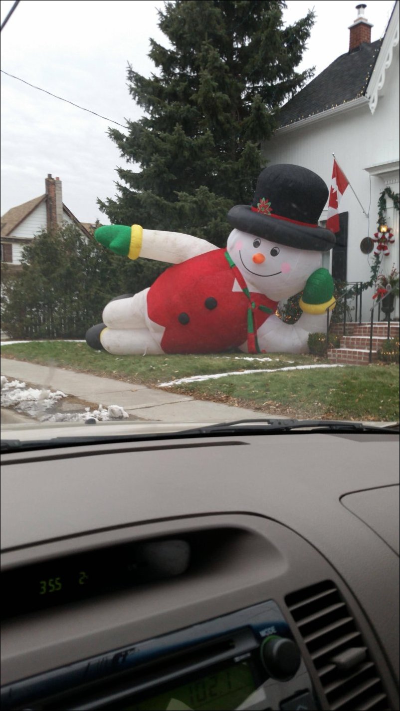 Фото приколы Фото приколы