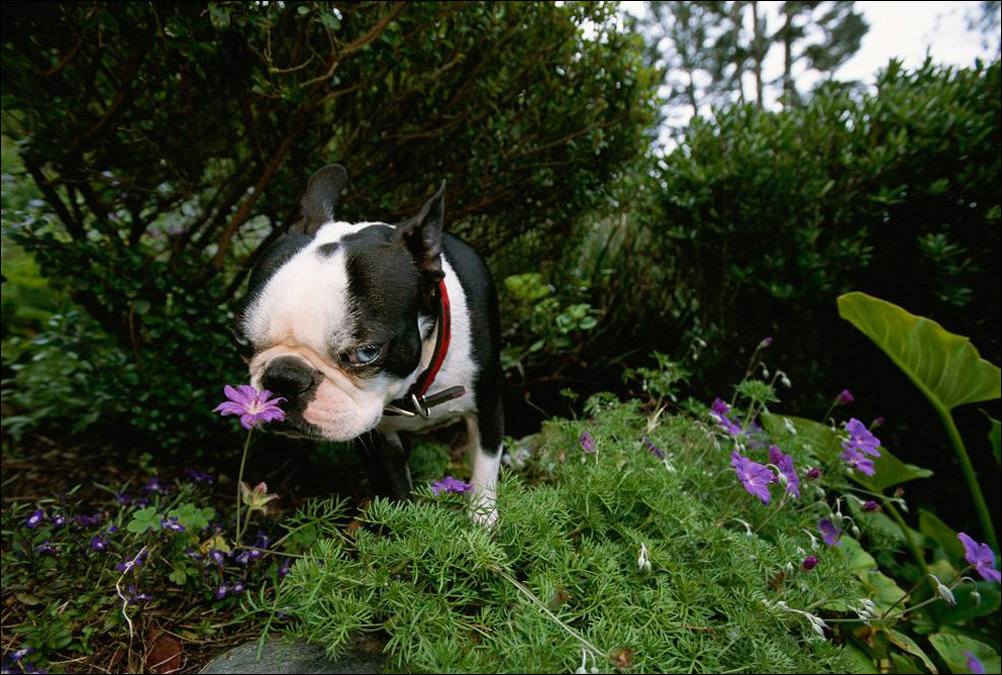 Фото приколы Фото приколы