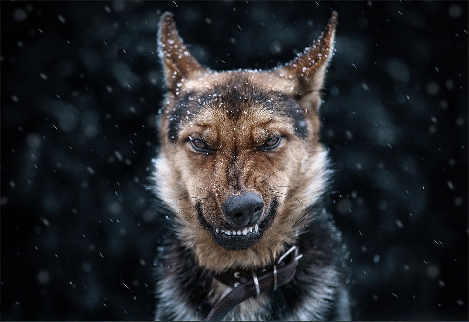 Фото приколы Фото приколы