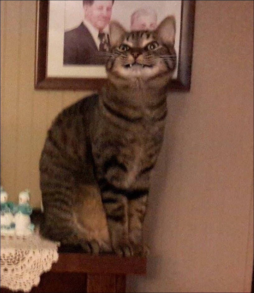 Фото приколы Фото приколы