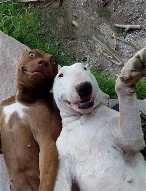 Фото приколы Фото приколы