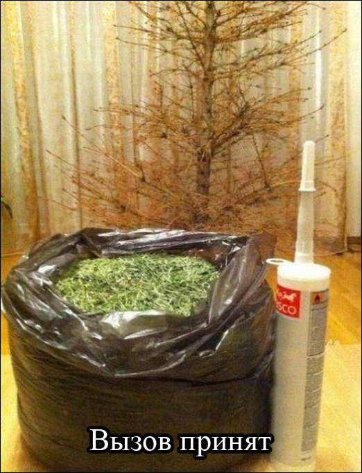 Фото приколы Фото приколы