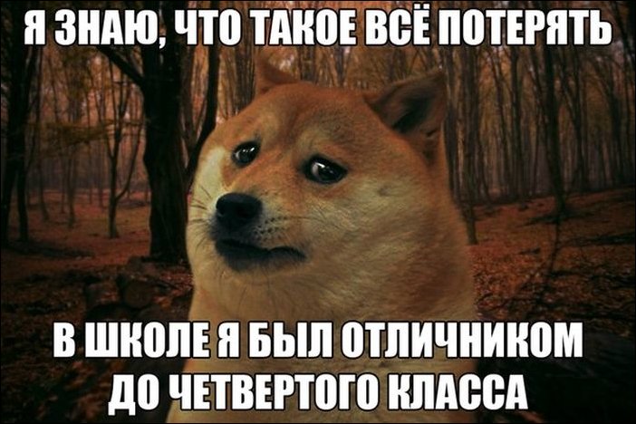 Фото приколы Фото приколы