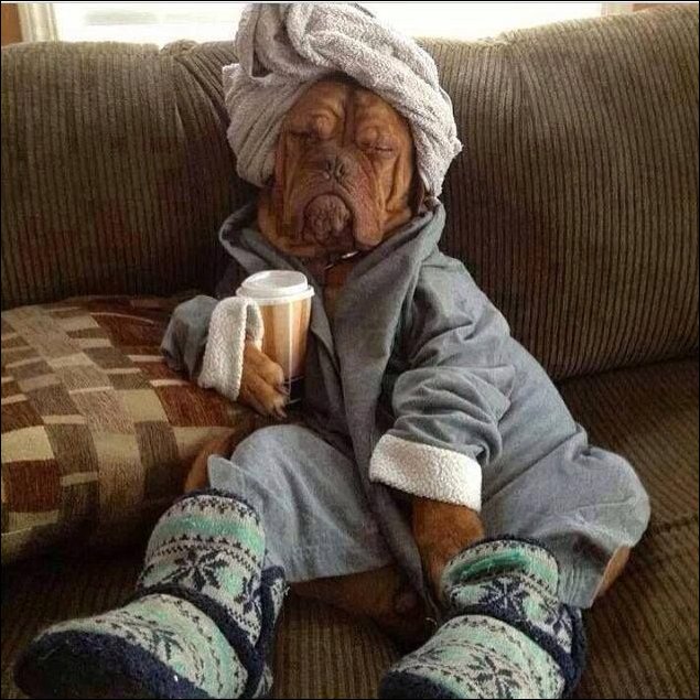 Фото приколы Фото приколы