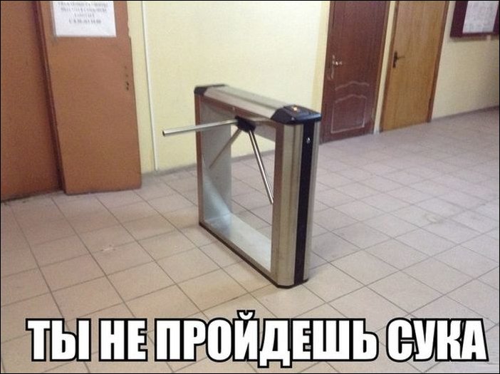 Фото приколы Фото приколы