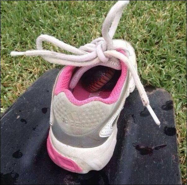 Фото приколы Фото приколы