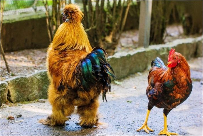 Фото приколы Фото приколы