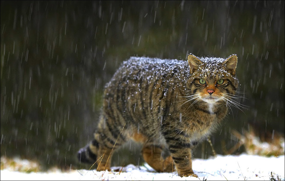 Фото приколы Фото приколы