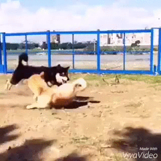 Прикольные гифки Прикольные гифки