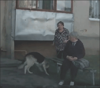 Прикольные гифки Прикольные гифки