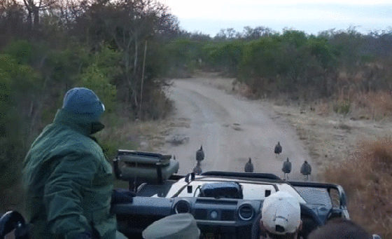 Прикольные гифки Прикольные гифки