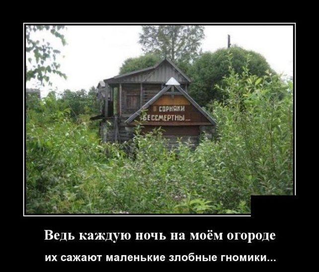 демотиватор демотиватор