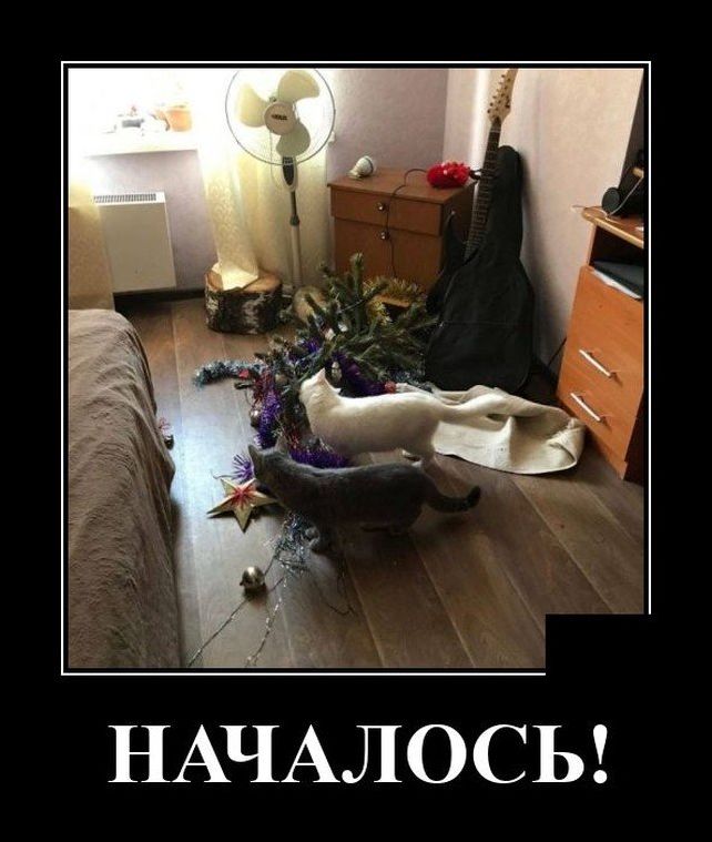 демотиватор демотиватор