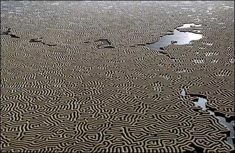 лабиринт из соли