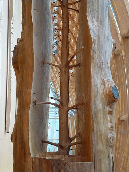 Скульптура дерева, вырезанная внутри ствола дерева