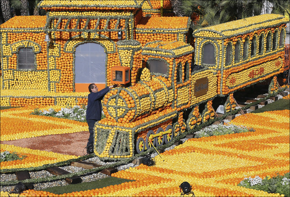 Фестиваль лимонов Фестиваль лимонов