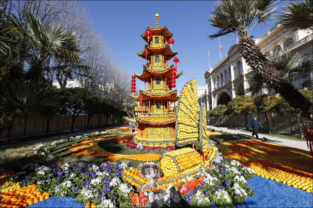 Фестиваль лимонов Фестиваль лимонов