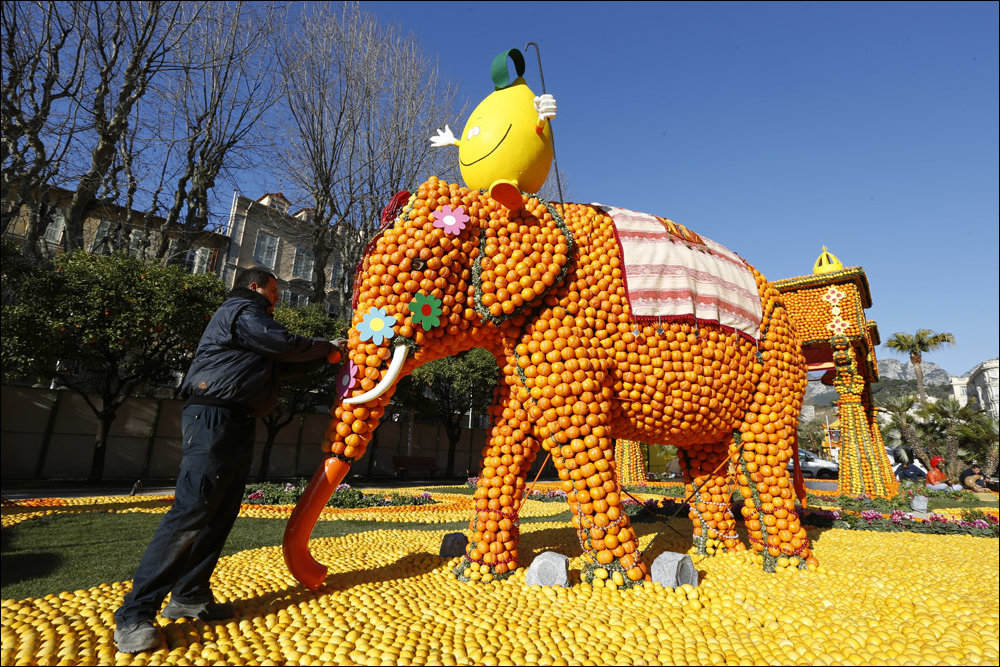 Фестиваль лимонов Фестиваль лимонов