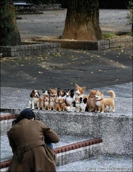 Подборка фотографий Подборка фотографий