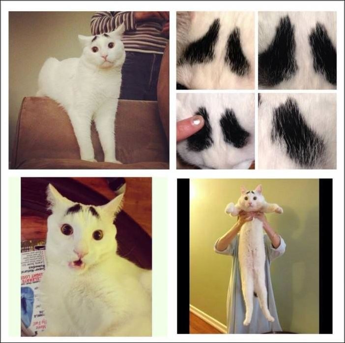 Подборка фотографий Подборка фотографий