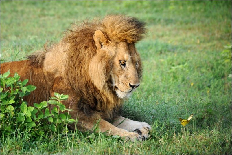 Подборка фотографий Подборка фотографий