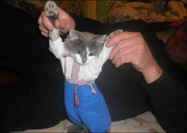 Подборка фотографий Подборка фотографий