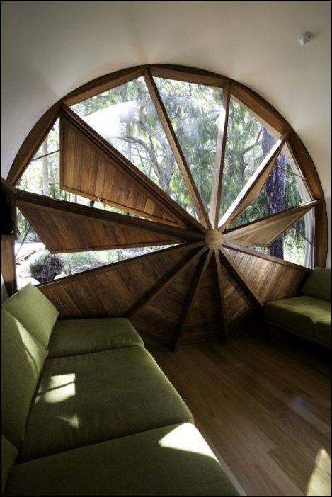 Подборка фотографий Подборка фотографий