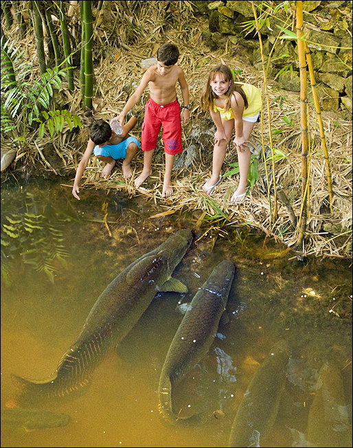 Подборка фотографий Подборка фотографий