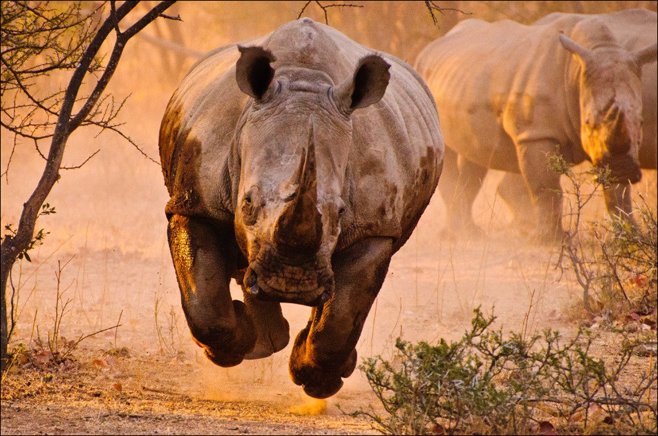 Подборка фотографий Подборка фотографий