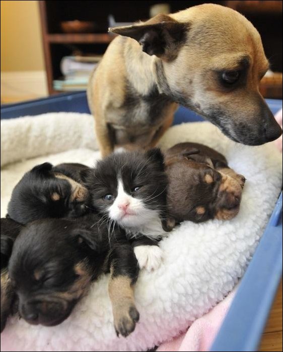 Подборка фотографий Подборка фотографий