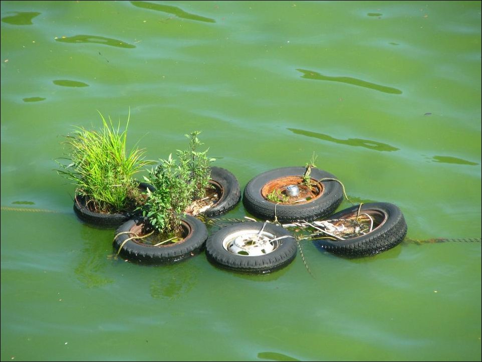 Подборка фотографий Подборка фотографий