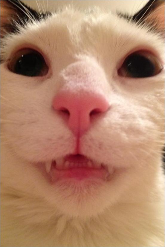 Подборка фотографий Подборка фотографий