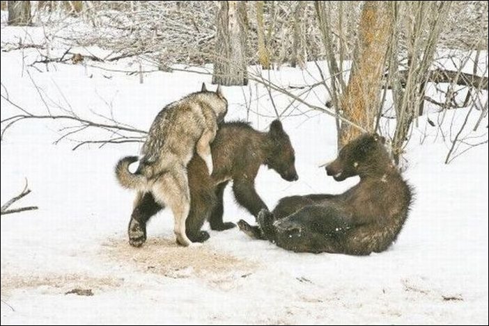 Подборка фотографий Подборка фотографий