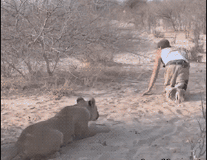 Прикольные гифки Прикольные гифки