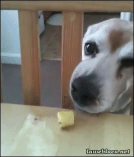 Прикольные гифки Прикольные гифки