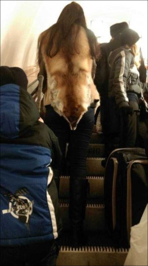 Незаурядный пассажир метро